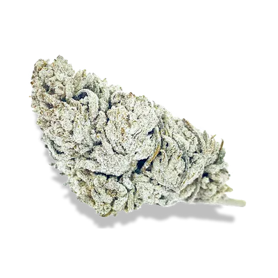 Snow Haze