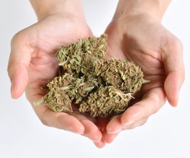 Premium CBD products